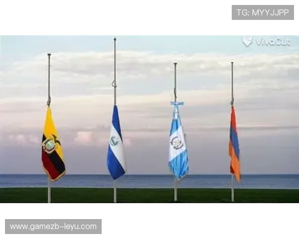 《全球瞩目！大型体育赛事筹备启动，精彩纷呈尽在其中》